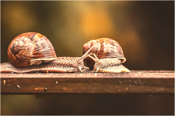 夢到了與上司談話被責罵是什麼預兆_周公解夢官網