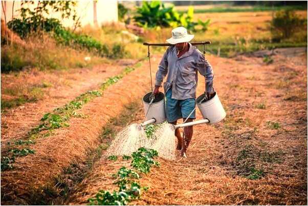 夢到錢給別人怎么回事_周公解夢官網
