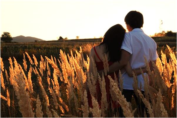 夢到了全身長毛髮好不好_周公解夢官網