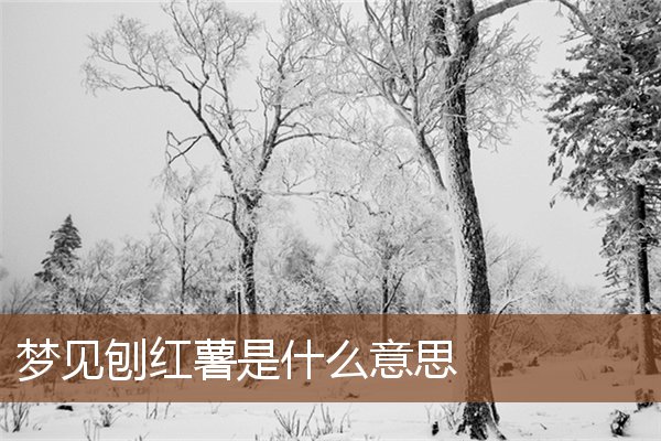 夢見刨紅薯是什麼意思_周公解夢