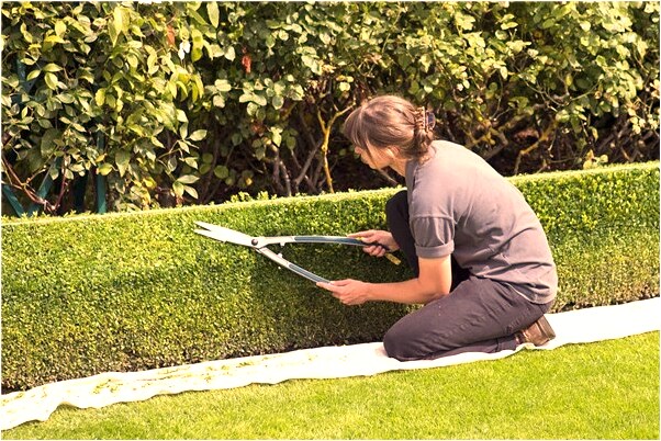 夢見上面虎牙掉了有什麼含義_周公解夢官網