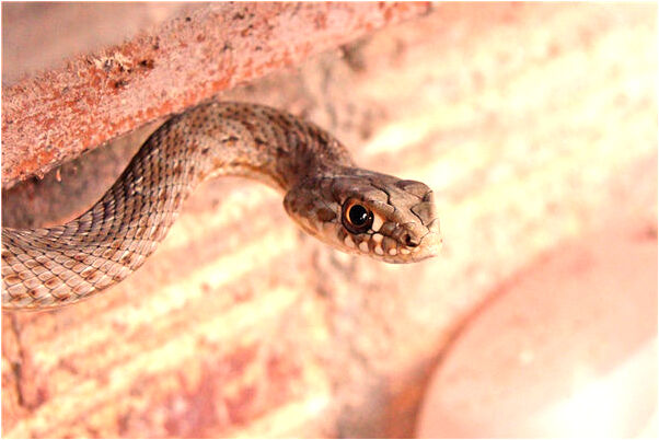 夢到了妻子騎腳踏車掉河裡了有什麼寓意嗎_周公解夢官網