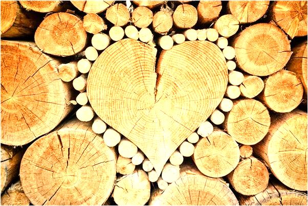 夢見在捷運里看見女人裸露胸部是什麼徵兆_周公解夢官網