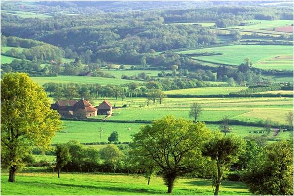 夢到了接到花球是什麼兆頭_周公解夢官網