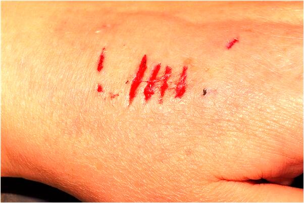 夢到了朋友幫我打掃房間怎么說_周公解夢官網