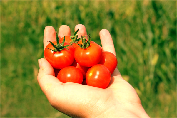 夢到了我女孩預示什麼_周公解夢官網