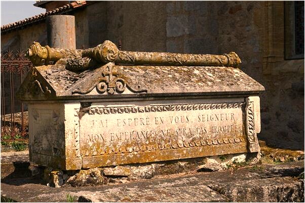 夢到開門跑出一條狗有什麼含義_周公解夢官網