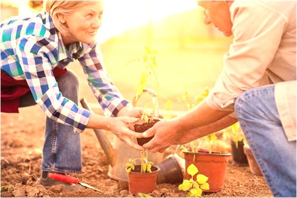 夢到前男友給我兩百塊錢有什麼寓意嗎？_周公解夢官網
