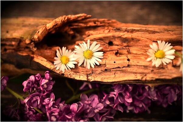 夢到責備老公是好是壞_周公解夢官網