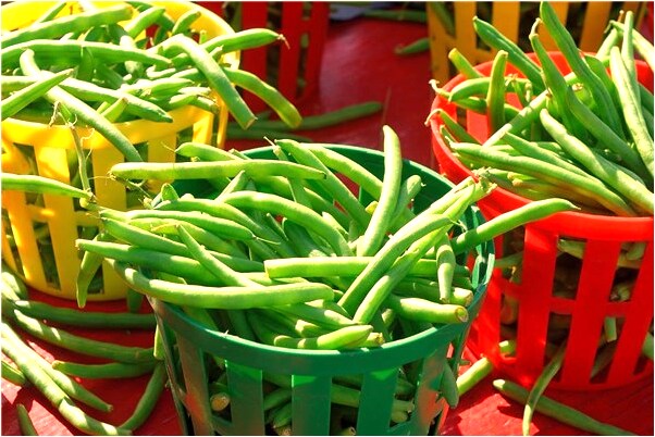 夢到了下雨把床打濕了怎么樣_周公解夢官網