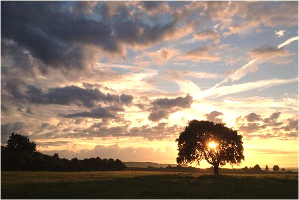 夢見自己的親人生病是不是好的徵兆呢_周公解夢官網
