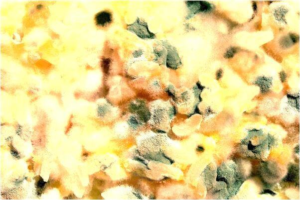 夢見自己要結婚看到發大水是吉兆嗎?_周公解夢官網