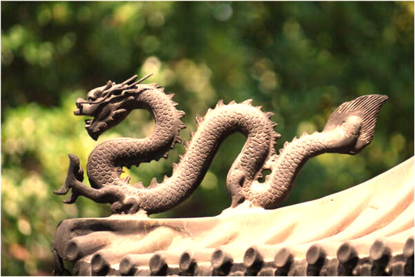 夢到了家門口有火車道意味著什麼_周公解夢官網