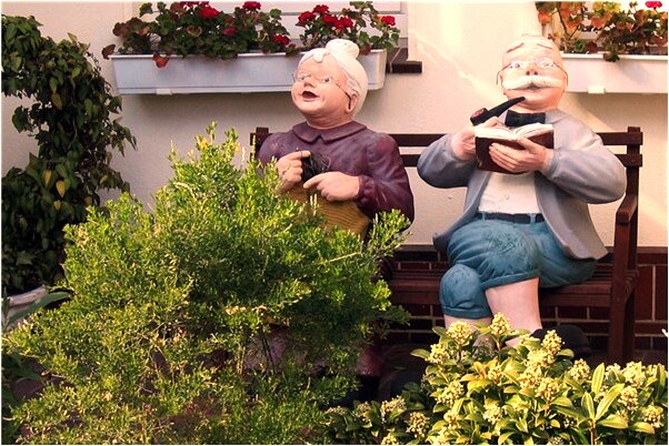 夢見殺了一隻鷹預示了什麼_周公解夢官網