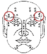 Physiognomy analysis: 13, 12 life palace figure _ to visit fortune-teller accomplishment