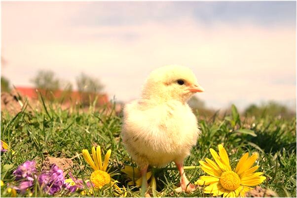 夢到了一個不認識男人做愛預示了什麼_周公解夢官網