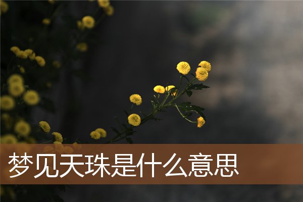 夢見天珠是什麼意思_周公解夢