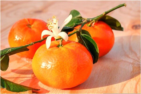 夢到了村莊裡找不到廁所是怎么回事_周公解夢官網