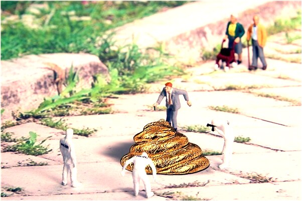 夢到了昨晚檢樹幹柴是凶兆還是吉兆_周公解夢官網