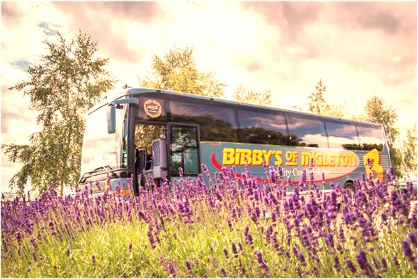 夢到了拿刀捅人見血預示什麼有什麼徵兆_周公解夢官網