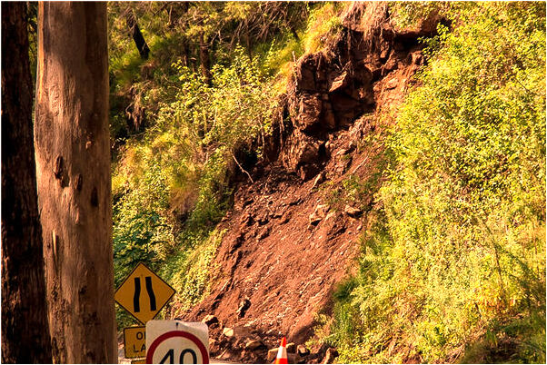 夢見買修行者花代表著什麼？_周公解夢官網