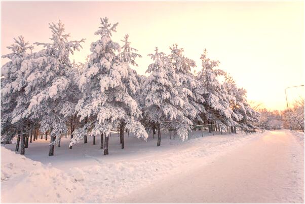 夢到半個鍋是不是好的徵兆呢_周公解夢官網