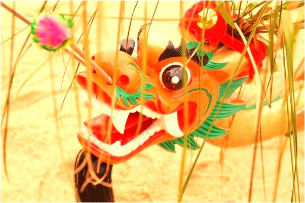 夢到一隻眼睛的花貓是什麼意思？_周公解夢官網