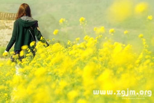 近段時間給12星座的脫光建議_十二星座