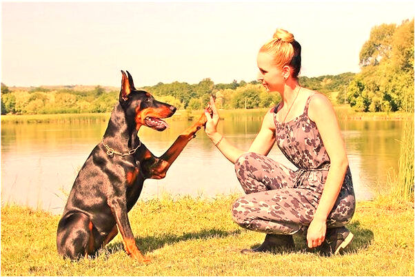 夢到看見別人打仗預示了什麼_周公解夢官網