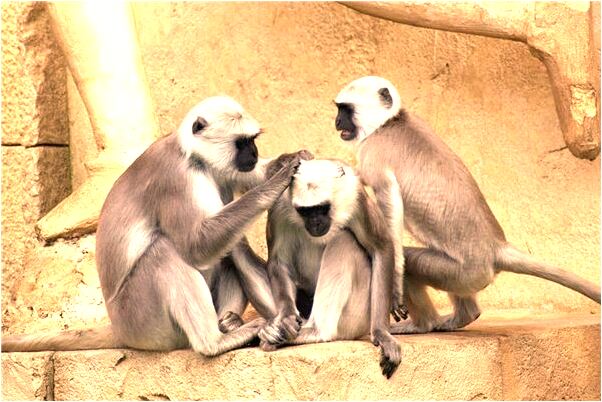 夢到洗澡被人偷窺啥意思_周公解夢官網