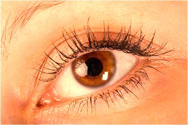 夢見們見水在澆自家地預示什麼_周公解夢官網