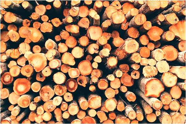 夢到了魚咬住了腳怎么樣_周公解夢官網