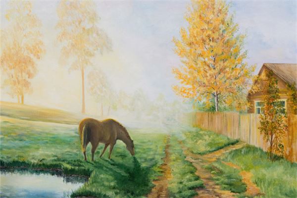 66年屬馬的人2020年運程_十二生肖