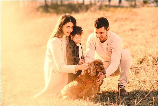 夢到釘窗簾是啥意思_周公解夢官網