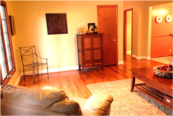 夢到了殺人的狗會怎么樣_周公解夢官網