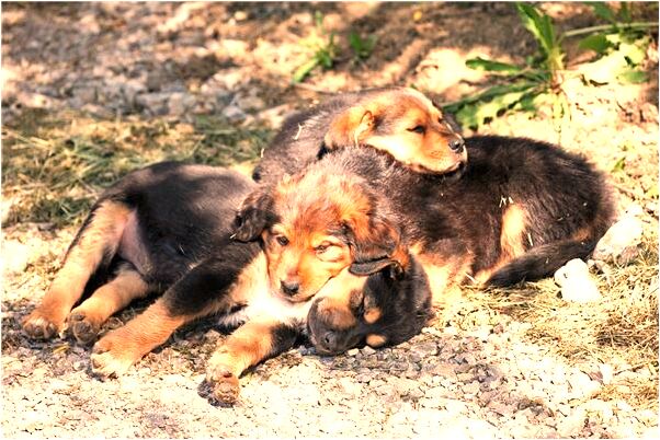 夢見自己會游泳能在海面漂是好是壞_周公解夢官網