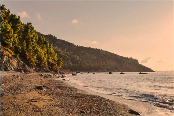 夢見上司把我劉海剪了是什麼兆頭_周公解夢官網