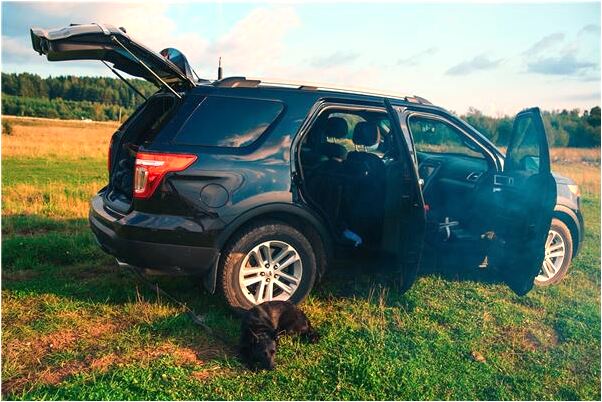 夢見往床上潑水是什麼徵兆_周公解夢官網