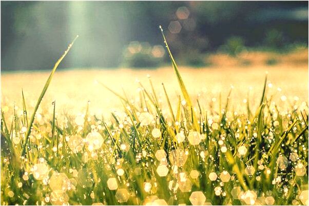 夢見嬰兒頭很大會怎么樣_周公解夢官網