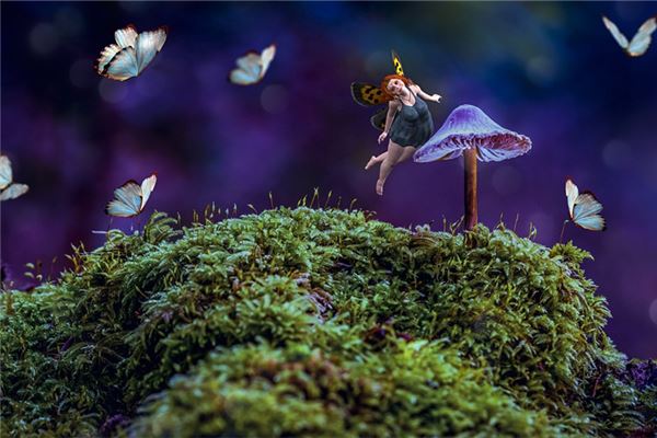 怎樣理解夢的語言_周公解夢