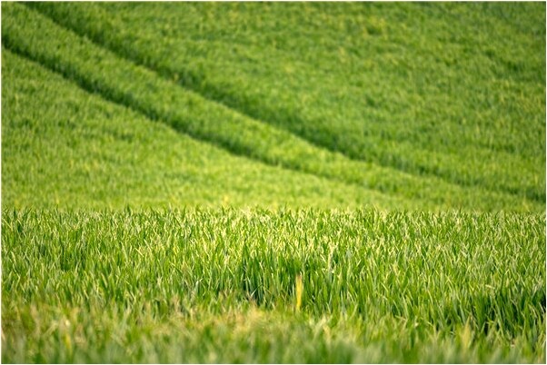 夢見朋友打人嘴巴有什麼預兆_周公解夢官網