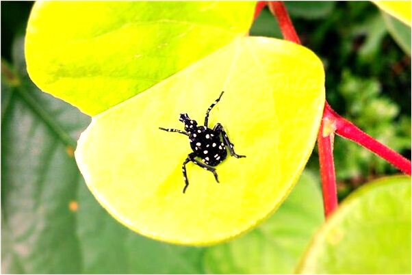 夢到了姨姐躺在棺材裡怎么回事_周公解夢官網