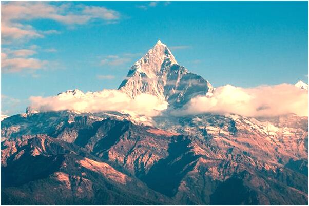 夢到了自己家院牆倒了蓋新的有什麼寓意嗎_周公解夢官網