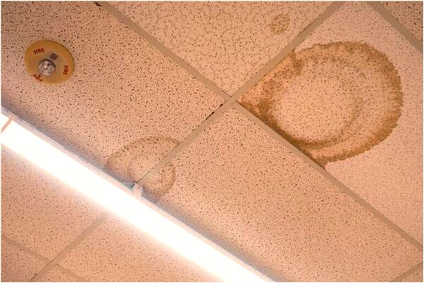 夢到了家裡被小偷翻動過怎么說_周公解夢官網