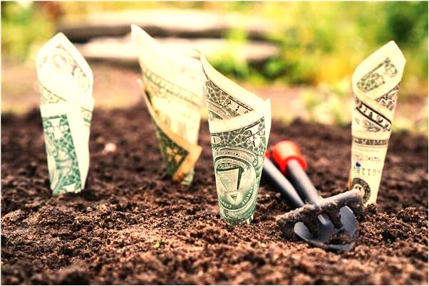 夢到了床底下有很多刺蝟有什麼寓意嗎_周公解夢官網