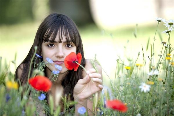 屬牛亥時出生的性格_十二生肖