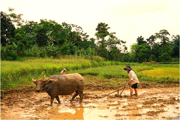 夢見買衣服和帽子啥意思_周公解夢官網