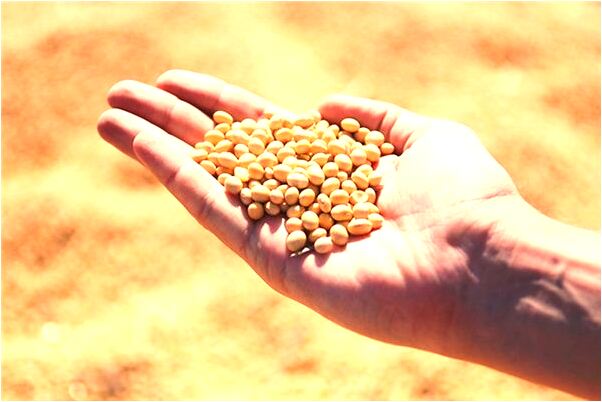 夢到了扯晚聯是好是壞_周公解夢官網