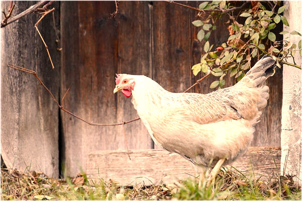 夢到了女友和別人在接吻代表著什麼_周公解夢官網