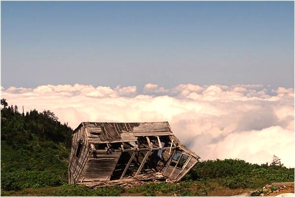 夢到了渾身沾上屎是什麼意思_周公解夢官網